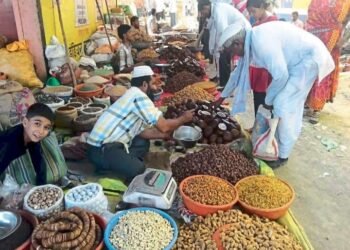 थंडीची हुडहुडी सुरु होताच बाजार पेठेत हळूहळू सुक्यामेव्याचे दुकाने थाटण्यास सुरुवात