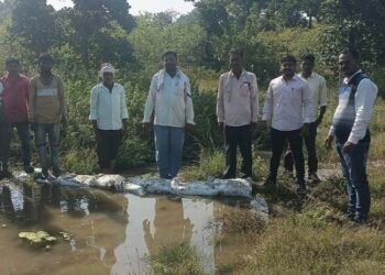 सोयगाव कृषी विभागामार्फत लोकसहभागातून वनराई बंधारे बांधण्यास सुरुवात