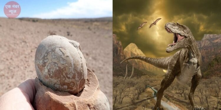 अबब..! नाशिकहुन ३०० किमी वर सापडली डायनासोरची अंडी…