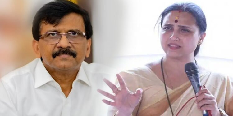 हे काय बोलून गेले संजय राऊत? म्हणे, “बाबासाहेब आंबेडकरांचा जन्म… “