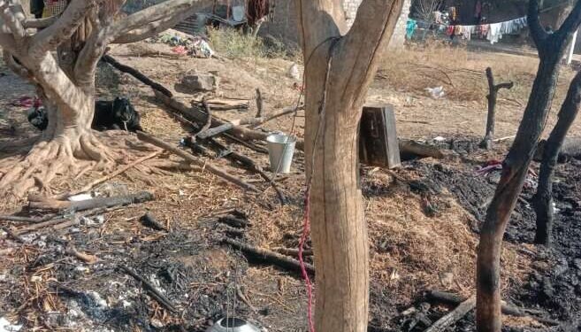 अचानक लागलेल्या आगीत गोठा जळून अक्षरशः राख झाली,तर सहा शेळ्या गंभीर भाजल्या…