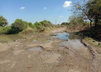 तुळजापूर:- रस्ता खराब असल्याने जीव मुठीत धरुन प्रवास ; लमाण तांड्या जवळ कमी उंचीच्या  पुलावरती जीव घेणे खड्डे त्यामुळे अनेक अपघात…