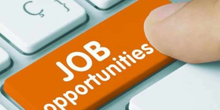 राष्ट्रीय केमिकल आणि फर्टीलायझर्स लि. मुंबई व नॅशनल टेक्निकल रिसर्च ऑर्गनायजेशनमध्ये भरती…