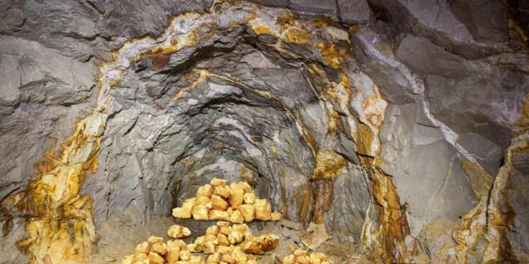 महाराष्ट्रात 2 ठिकाणी सोन्याची खाण : मुख्यमंत्री