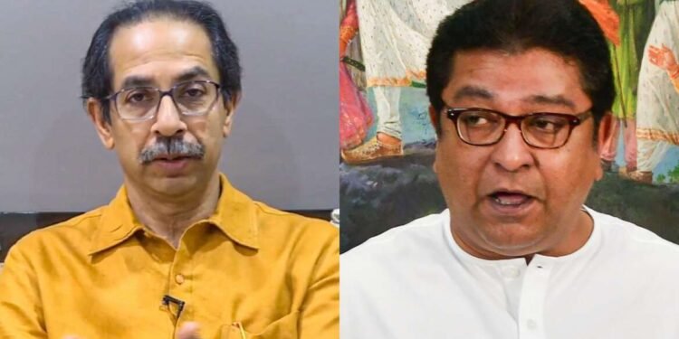 माझ्या पोटात गोळा कशाला येईल ? राज ठाकरेंचा उद्धव ठाकरेंना पलटवार…