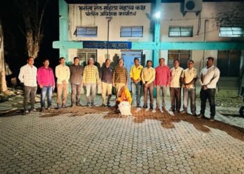 लातूरात 1 लाख 28 हजाराचा गांजा जप्त