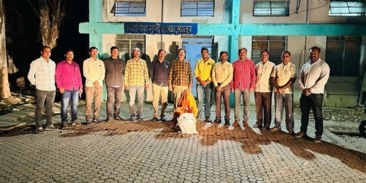 लातूरात 1 लाख 28 हजाराचा गांजा जप्त