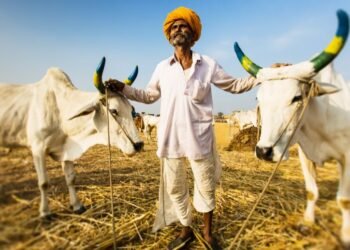 धक्कादायक !गेल्यावर्षी मराठवाड्यातील तब्बल एक हजारपेक्षा अधिक शेतकऱ्यांची आत्महत्या…