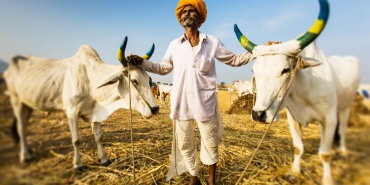 धक्कादायक !गेल्यावर्षी मराठवाड्यातील तब्बल एक हजारपेक्षा अधिक शेतकऱ्यांची आत्महत्या…