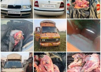 इंदापूरमध्ये गायी व बैलांची कत्तल करून ते गोमांस घेऊन जाणारी स्कोडा कार पोलिसांच्या ताब्यात…