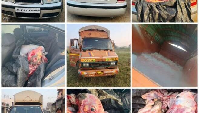 इंदापूरमध्ये गायी व बैलांची कत्तल करून ते गोमांस घेऊन जाणारी स्कोडा कार पोलिसांच्या ताब्यात…