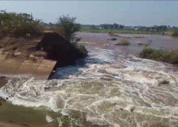 उजनी डावा कालवा पाटकुल हद्दीत फूटून शेतकऱ्यांच्या शेतीचे प्रचंड नुकसान…