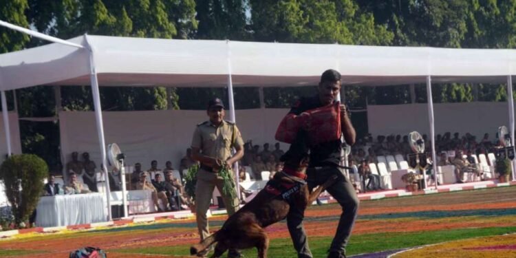 महाराष्ट्र पोलिस स्थापना सभारंभात नांदेडच्या आझाद डॉगला प्रथम पुरस्काराने गौरविण्यात आले…