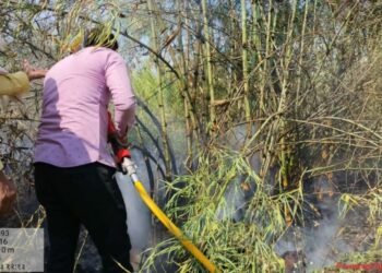 मंठा :- देवठाणा येथे शेतकऱ्याचे तीन एक्कर ऊसाचे पिक जळून खाक…