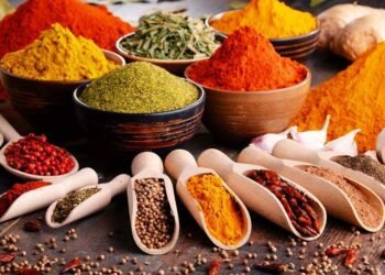 हिवाळ्यात फ्लू आणि इन्फेक्शन टाळण्यासाठी आहारात या पदार्थांचा  समावेश करा, रोगप्रतिकारक शक्ती वाढेल!