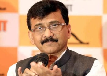 नारायण राणेंचा एकेरी उल्लेख, संजय राऊत बरंच काही बोलून गेले…