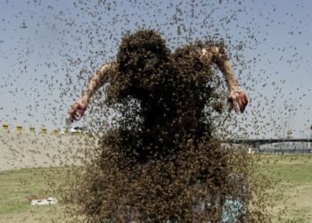 बापरे ! मधमाश्यांचा हल्यात दुचाकीस्वार शेतकऱ्याचा जागीच मृत्यू…