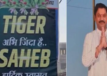 तब्बल ४० दिवसांनंतर धनंजय मुंडे परळीत; स्वागतासाठी विशेष गाड्या, सजावट अन् मोठ्ठाले बॅनर