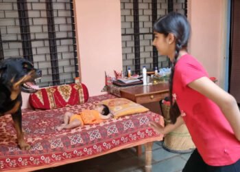 एकदा हा व्हिडीओ पहाच – बाळाचे रक्षण करणारा कुत्रा…