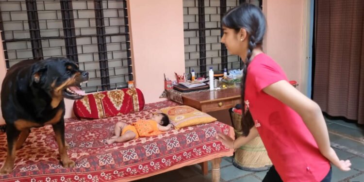 एकदा हा व्हिडीओ पहाच – बाळाचे रक्षण करणारा कुत्रा…