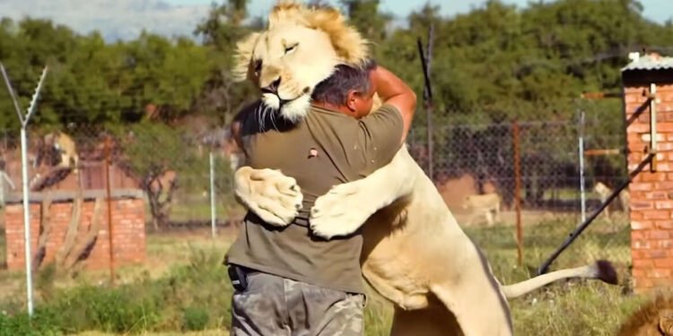 VIDEO | …जेव्हा मुके जीव आपलं प्रेम व्यक्त करतात…