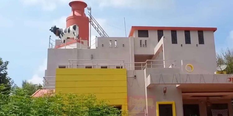 १७५ गायी,२ एकरात गोठा,बांधला १ कोटींचा बंगला घरावर गाईचा पुतळा,दुधाची कॅन…
