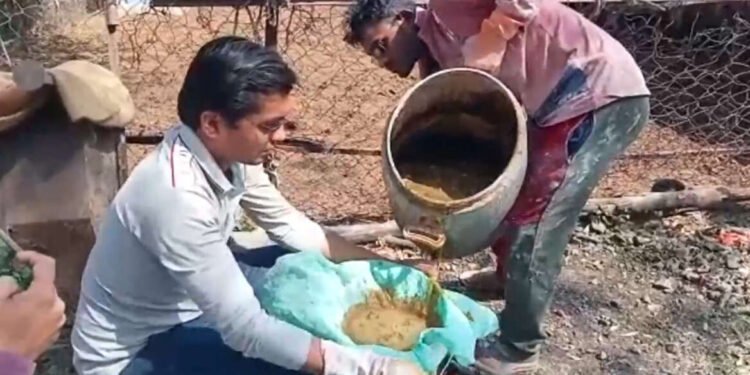 तरुणानं कमालच केली, चक्क गायीच्या शेणापासून बनवला घराला देणारा पेंट; महाराष्ट्रभर फेमस..