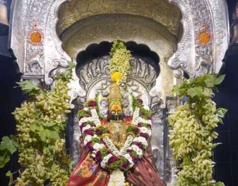 तुळजापूर:- शेतकऱ्याने आपल्या  द्राक्षबागेतील आलेला पहिला द्राक्षाचा माल देवीचरणी केला अर्पण 