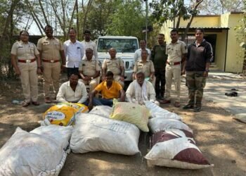 सोलापूर:- चंदन लाकडाच्या अवैध वाहतुकीवर वन विभागानें कारवाई करत 30 लाखांचा मुद्देमाल जप्त