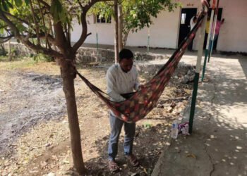 परीक्षा हॉलबाहेर झाडाला साडीचा झोका, माऊली पेपर द्यायला, बापाने चिमुकल्याला झोळीत झुलवलं…