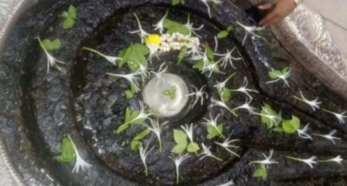 भाविकांचे श्रद्धास्थान आद्य ज्योतिर्लींग त्र्यंबकेश्वर पिंडीवर बर्फ जमा होण्याचा प्रकार बनावट असल्याचे समोर…