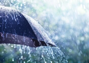 हवामानाचा मूड बदलणार! येत्या 24 तासांत या 10 राज्यांमध्ये पाऊस धो धो बरसणार, हवामान खात्याचा इशारा…