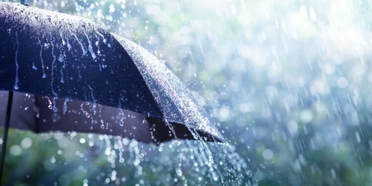 हवामानाचा मूड बदलणार! येत्या 24 तासांत या 10 राज्यांमध्ये पाऊस धो धो बरसणार, हवामान खात्याचा इशारा…