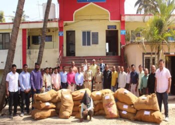 साताऱ्यात असं कधीच घडलं नाही; डाळिंबाच्या बागेत भलतंच पीकवलं.