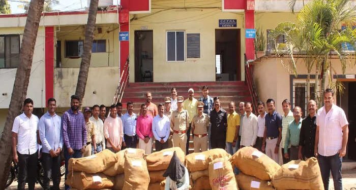 साताऱ्यात असं कधीच घडलं नाही; डाळिंबाच्या बागेत भलतंच पीकवलं.