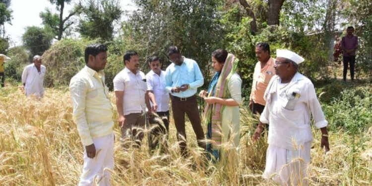 जिंतूर:-  गारपीट झालेल्या गावातील पिकांची मा. आ. विजयराव  भांबळे यांच्याकडून पाहणी.