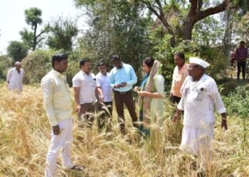 गारपिटीने नुकसान झालेल्या शेतीची पाहणी करताना आ. मेघनाताई बोर्डीकर साकोरे….