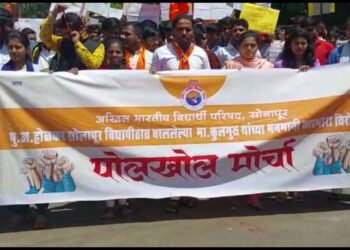 सोलापूर :- अभाविपचा कुलगुरूंच्या विरोधात जिल्हाधिकारी कार्यालयावर मोर्चा