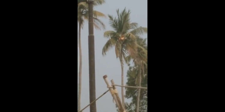 मेघगर्जनेसह अवकाळी पाऊस, भरपावसात वीज कोसळली अन् नारळाचं झाड पेटू लागलं….