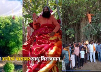 देसवंडी गावात साधूंचे चक्क वडाच्या झाडावर बसून अनोखं पारायण….