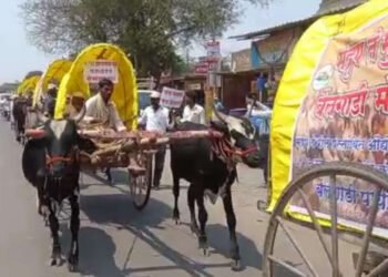 मंद्रुपच्या बैलगाडी मोर्चात अबालवृध्दांसह महिला शेतकर्‍यांच्या समावेश….