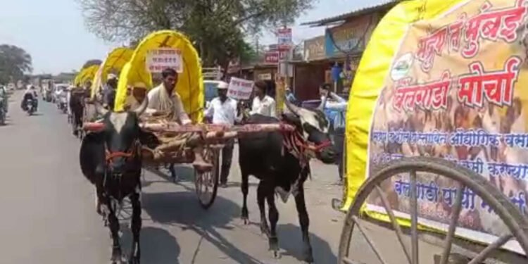 मंद्रुपच्या बैलगाडी मोर्चात अबालवृध्दांसह महिला शेतकर्‍यांच्या समावेश….