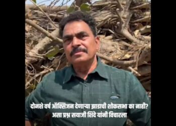 VIDEO | अभिनेते सयाजी शिंदेंनी वाहिली वडाच्या झाडाला आदरांजली….