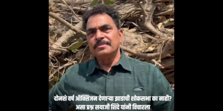 VIDEO | अभिनेते सयाजी शिंदेंनी वाहिली वडाच्या झाडाला आदरांजली….