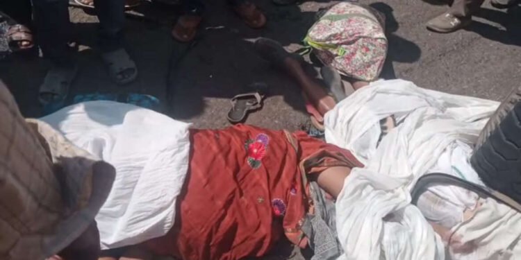 नांदेड :- मालवाहू ट्रक आणि ऑटोची समोरासमोर धडक चार जणांचा जागेवरच मृत्यू,जखमींना च्या शासकीय रुग्णालयात उपचारासाठी पाठवण्यात आल्याची माहिती