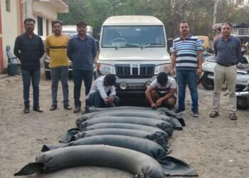 सोलापूर:- सिनेस्टाईल पाठलाग करत नांदणी येथे बोलेरो वाहनातून आठशे लिटर हातभट्टी दारू जप्त केली आहे.