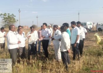 जिल्हाधिकारी यांनी गारपिटीमुळे नुकसान झालेल्या रब्बी पिकाची पाहणी करून  नुकसान भरपाई मिळवुन देण्याचे आश्वासन दिले….