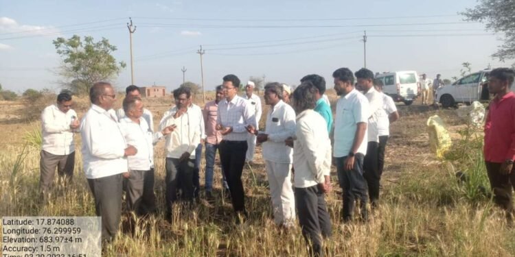 जिल्हाधिकारी यांनी गारपिटीमुळे नुकसान झालेल्या रब्बी पिकाची पाहणी करून नुकसान भरपाई मिळवुन देण्याचे आश्वासन दिले….