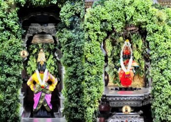 विठ्ठल मंदिरात सजावट केलेले एक टन द्राक्षे गायब, भाविकाची चौकशीची मागणी…