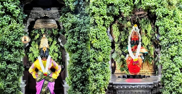 विठ्ठल मंदिरात सजावट केलेले एक टन द्राक्षे गायब, भाविकाची चौकशीची मागणी…
